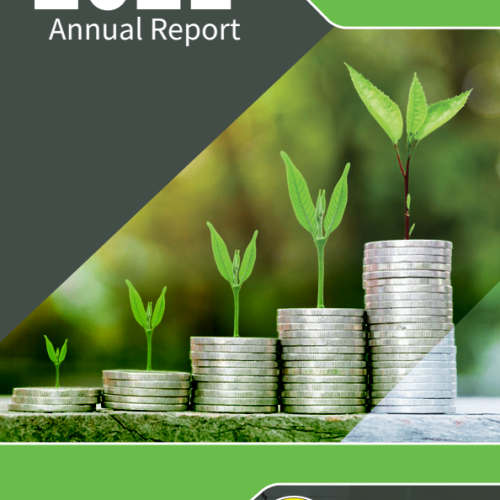 Annual Report 2021